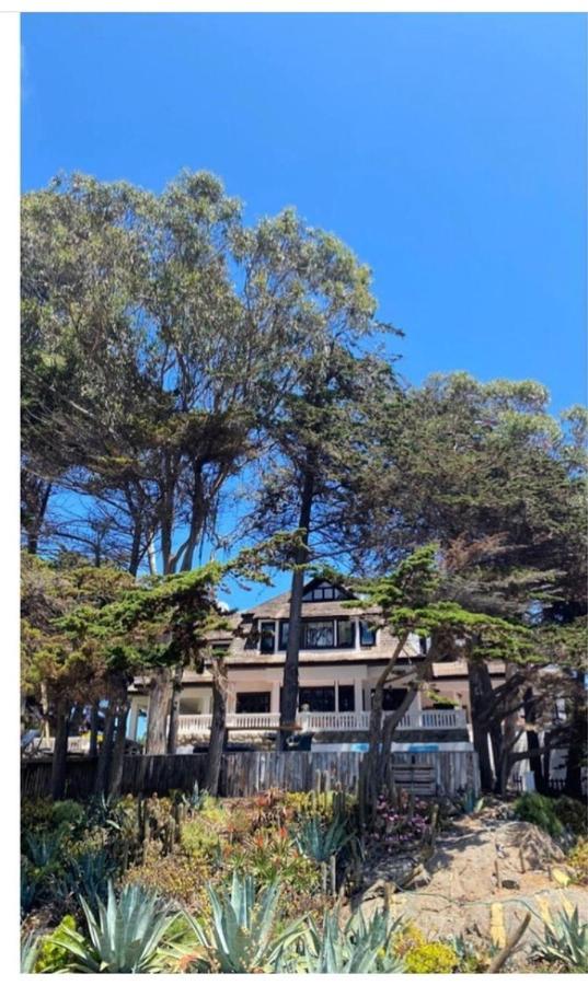 Casa Wilson Villa Zapallar Bagian luar foto